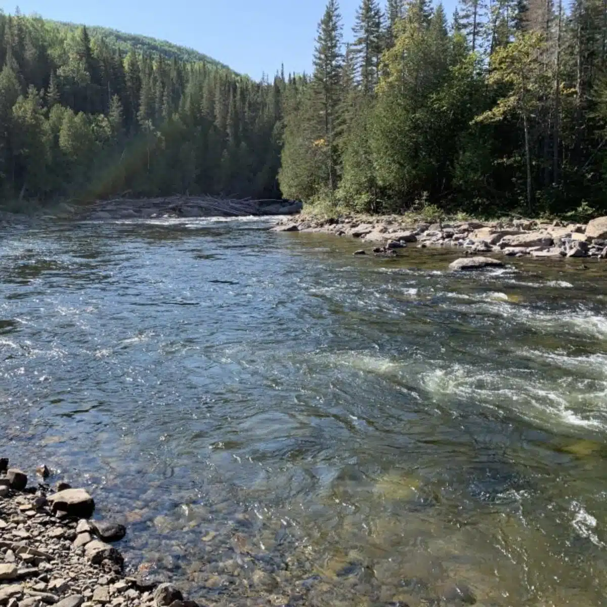 ZEC de la rivière Madeleine