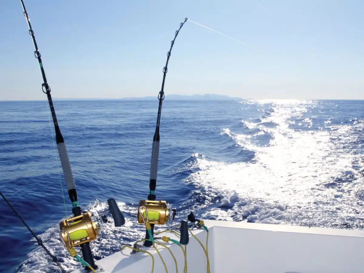 Pêche haute mer